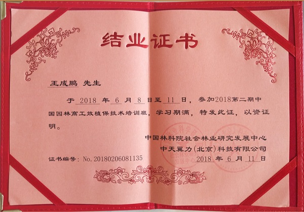 中國園林高工效植技術培訓結業(yè)證書