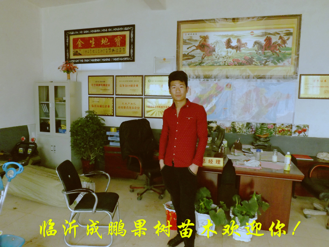 山東成鵬農業(yè)科技發(fā)展有限公司