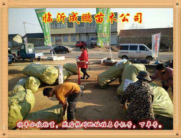 稱重核對地址號碼